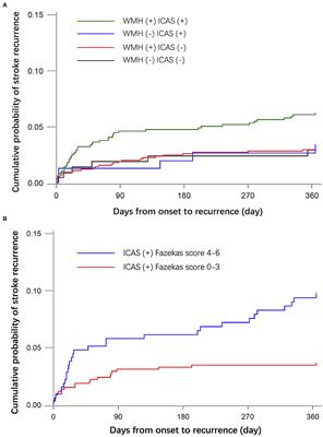 Intracranial Atherosclerosis Coexisting With White Matter Hyperintensities May Predict Unfavorable Functional Outcome in Patients With Acute Cerebral Ischemia